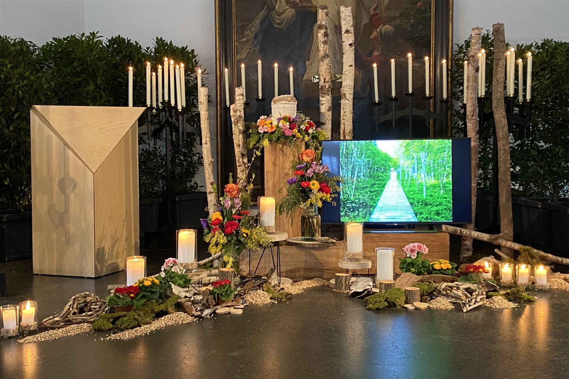 7805 – Birkenwald mit Erinnerungsvideo