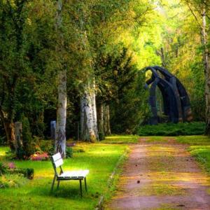 DECHERT Bestattungen istock Waldfriedhof